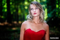 39dd7b_2a5ef1860e65449d9eb79b8bb6be211b