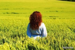 39dd7b_54241a9ccd174b03848ed21da2046cd5